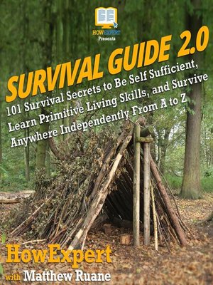 cover image of Survival Guide 2.0